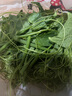 貴州當季農家瓜尖蔬菜高山蔬菜龍須菜洋瓜尖佛手瓜嫩尖炒菜涼拌菜 貴州精品瓜尖1斤【農家種植】 曬單實(shí)拍圖