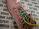 耐克（Nike）湯普森9秒75新紀(jì)錄 田徑精英Nike Maxfly耐克氣墊男女短跑釘鞋 HQ2058-600/Maxfly 2代 40.5 曬單實(shí)拍圖