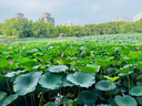 沃德百惠（WORTHBUY）兒童水杯寶寶牛奶杯帶手柄防燙防摔直飲杯不銹鋼家用學(xué)飲杯喝水杯 單耳杯 2個(gè) 300ml 曬單實(shí)拍圖