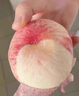正宗無(wú)錫水蜜桃新鮮現摘水果桃子白鳳桃子陽(yáng)山鎮毛桃整箱 8顆 小果丨單果3.5-4兩丨試吃嘗鮮 曬單實(shí)拍圖