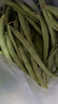 高山四季豆新鮮應(yīng)季蔬菜豆角豆青現(xiàn)摘現(xiàn)發(fā)炒熟食用京東物流 帶箱1斤 曬單實(shí)拍圖
