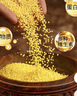 保牧蛋小米鸚鵡鳥(niǎo)糧玄鳳牡丹虎皮珍珠鳥(niǎo)繁殖斷奶期專(zhuān)用營(yíng)養鳥(niǎo)食 250g 1瓶裝 曬單實(shí)拍圖