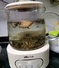 小熊（Bear）全玻璃壺體養(yǎng)生壺恒溫壺 辦公室多功能煮茶壺花茶壺 0金屬養(yǎng)生杯 24h預約24h保溫 1L YSH-P10Q7 曬單實拍圖