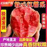思卓（SIZHUO）紅心軟芭樂 廣東番石榴新鮮水果健康輕食土巴樂軟糯甜心單果130g+ 奶油芭樂紅心凈重4.5斤軟糯甜心 曬單實(shí)拍圖