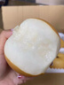 山姆伯伯秋月梨正宗萊陽梨【多地次日達(dá)】新鮮梨子香雪梨水果禮盒中秋禮品 【清甜-優(yōu)選果】丨單果200-300g 5斤裝【超劃算-80%回購選】凈4.5 曬單實(shí)拍圖