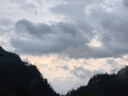 京東京造 小布丁 春辰綠太陽傘女防紫外線便攜五折遮陽傘防曬晴雨折疊傘 曬單實拍圖