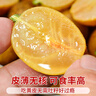 山姆伯伯廣東雞心黃皮果【順豐閃送】無核黃皮新鮮水果禮盒 3斤【巨劃算 | 20%選擇】凈2.1斤 7A級精選果丨保溫箱+冰袋 曬單實拍圖