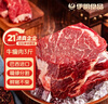 伊明食品進(jìn)口原切牛瘦肉3斤 清真生鮮牛肉精選大塊牛瘦肉部位燉煮健身減脂 曬單實(shí)拍圖