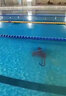 MONITOK泳池吸污機(jī)水下全自動吸塵器池底淺水池清理清潔設(shè)備清淤泥水龜 K600自動吸污機(jī)（直排/過濾） 曬單實(shí)拍圖