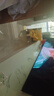海信電視E7N Pro 75英寸信芯芯片H6 U+Mini LED墨晶屏 300Hz高刷AI智能75E7N-PRO國(guó)家補(bǔ)貼20% 曬單實(shí)拍圖