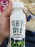 君樂寶悅鮮活鮮牛奶瓶裝生牛乳低溫奶巴氏殺菌乳原生高鈣鮮奶純牛奶 260ml*5瓶 曬單實拍圖