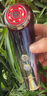 創(chuàng)維(SKYWORTH)四環(huán)變頻射頻美容儀S5 (v瘦臉神器面部按摩提升拉緊致法令紋去除生日禮物送女朋友老婆 曬單實(shí)拍圖