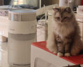 霍尼韋爾（honeywell）貓用寵物空氣凈化器 貓貓搭子h-cat家用吸浮毛過濾過敏原 國家補貼KJ360F-C22W（無喵趣互動版） 曬單實拍圖