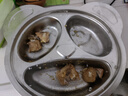 迪普爾304不銹鋼兒童餐盤分格寶寶輔食碗小孩幼兒園專用餐具飯碗 曬單實拍圖