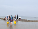 佳貝艾特（Kabrita）悅白嬰幼兒配方羊奶粉 3段(1-3歲)800克 天然A2蛋白 曬單實拍圖
