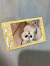 富士instax mini12一次成像拍立得相機 「花與她」禮盒套裝 鳶尾騎士（鳶尾紫禮盒） 曬單實拍圖
