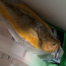 三都港 寧德三去開肚大黃魚800g/2條凈重 清蒸黃花魚 生鮮 燒烤 曬單實(shí)拍圖