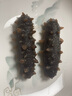 樂(lè )老板即食海參 深海底播遼刺參 優(yōu)選500g 13-18只/斤 曬單實(shí)拍圖