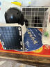 奧克斯4g太陽能攝像頭室外無電無網(wǎng)終身免費流量免插電手機遠程高清監(jiān)控器家用戶外360度無死角全景夜視 曬單實拍圖
