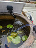 HASE太陽能水泵魚池水循環(huán)戶外假山流水噴泉池塘低壓帶蓄電魚缸抽水泵 【帶蓄電池】太陽能水泵10W+單晶板60W 曬單實(shí)拍圖