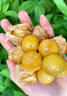 桃西村東北姑娘果【順豐可選】菇?jīng)龉麩艋\果黃菇娘姑鳥小金豆新鮮水果 5斤 精選果【單果7-9g】順豐 曬單實(shí)拍圖