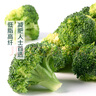 【富硒】西蘭花300g(側(cè)枝) 曬單實(shí)拍圖