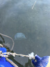趕海弟 香烤魷魚絲200g 即食海味手撕風(fēng)琴魷魚條海味零食辦公室學(xué)生零食 曬單實(shí)拍圖