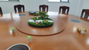 酒店圓桌中間裝飾擺件轉盤(pán)微景觀(guān)植物造景盆景擺花餐桌沙盤(pán)裝飾花 迎客松 50厘米直徑 曬單實(shí)拍圖