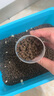 金寵【拯救玻璃胃多肉制作貓糧】?jì)龈商砑迂埣Z幼貓成貓長(cháng)肉高營(yíng)養嚴選 10斤( 超實(shí)惠裝) 普通版【凍干雞肉鱈魚(yú)】少量?jì)龈?曬單實(shí)拍圖