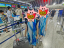 ELLE經(jīng)典時(shí)尚行李箱拉桿箱防刮萬(wàn)向輪女士可登機密碼箱大容量運動(dòng)旅行 奢華銀 22英寸 【需托運-三七開(kāi)】 曬單實(shí)拍圖