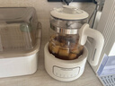摩飛電器（Morphyrichards）電熱水壺全玻璃恒溫壺家用熱水壺?zé)畨仞B(yǎng)生煮茶壺多段控溫電水壺極速風(fēng)冷沖奶泡奶機(jī)MR5602 1.2L 椰奶白 曬單實(shí)拍圖
