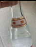汾酒 紅蓋玻汾 清香型白酒 42度 475mL*6瓶 整箱非原箱 曬單實拍圖