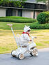 看寶貝（lookbaby）兒童三輪車腳踏車兒童車1-3歲寶寶三輪車平衡車1-3歲兒童推車 豪華綠|靠背+護(hù)欄+推把+頂棚 曬單實(shí)拍圖