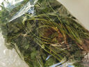 新鮮香菜山東香菜火鍋菜芫荽   綠色蔬菜農家種植調味提鮮 山東精品香菜2斤 曬單實(shí)拍圖
