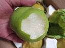 正宗碭山青梨新鮮梨子當(dāng)季現(xiàn)摘水果皇冠梨翠冠梨香酥脆蜜早雪梨q1 3斤【新鮮現(xiàn)摘】 曬單實(shí)拍圖