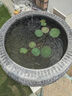 石雕花盆庭院石缸養(yǎng)魚青石魚缸仿古圓形花缽戶外石頭水缸石材門海 青石原色直徑80cm高55 曬單實拍圖