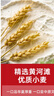 張寶山面條 山藥龍須掛面320g*8包 鐵棍山藥細(xì)面湯面拉面速食面 曬單實(shí)拍圖