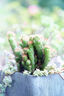 卡色（Kase）85mm F1.4 定焦鏡頭 大光圈 全畫幅 自動(dòng)對(duì)焦 人像 街拍 風(fēng)光 尼康索尼微單相機(jī)鏡頭 索尼E卡口（贈(zèng)減光&黑柔二合一魔法鏡） 官方標(biāo)配 曬單實(shí)拍圖