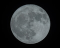 富士（FUJIFILM） 富士龍鏡頭XF70-300mmF4-5.6R LM WR自動對焦/拍鳥攝月 XF70-300mmF4-5.6R 標配 曬單實拍圖