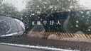 溥畔水培香水金邊蘭花苗濃香型四季好養(yǎng)建蘭花卉耐寒綠植物室內(nèi)盆栽花 香水金邊蘭帶玻璃瓶（新手推薦） 7苗 開金黃色花 曬單實拍圖