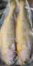 海名威 冷凍黃花魚700g/2條 寧德大黃魚地標(biāo) 海鮮水產(chǎn) 生鮮魚類  曬單實拍圖
