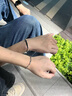 HR赫蓮娜情侶手鏈輕奢小眾定制刻字一對情侶款純銀送男女友七夕禮物 情侶手鏈帶字款【贈(zèng)送限定禮盒】 曬單實(shí)拍圖