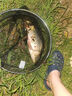 光威（GW）魚竿手竿3.6米水色良辰溪流竿超輕超硬28調(diào)釣魚竿短節(jié)魚桿漁具 曬單實拍圖