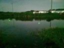 護(hù)王夜光漂日夜兩用加粗醒目納米電子漂鯽魚漂高靈敏野釣鯉魚大物浮漂 BQ-08【吃鉛2.0克適合野釣鯽鯉】 九目日夜兩用【咬鉤變色】三支裝 曬單實(shí)拍圖