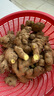 農(nóng)多鮮 云南小黃姜 新鮮蔬菜現(xiàn)挖現(xiàn)發(fā)調(diào)味料火鍋食材 產(chǎn)地直供 凈重小黃姜2斤 云南小黃姜 曬單實(shí)拍圖