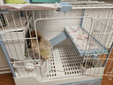 達洋出口兔籠新型達洋兔籠子防噴尿小號家用別墅籠豚鼠荷蘭豬籠子r71 R71淺藍 僅單籠 曬單實(shí)拍圖