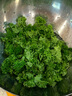 綠食者新鮮荷蘭芹250g 法國香菜 旱芹菜 新鮮蔬菜 西餐火鍋擺盤裝飾材料 500g 曬單實拍圖