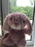 Jellycat粉色郁金香甜美小兔公仔動(dòng)物毛絨玩偶送禮娃娃生日七夕情人節(jié)禮物 粉色 One Size 曬單實(shí)拍圖