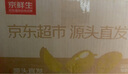 京地達(dá)海南金煌芒果 9斤珍稀果王600g+ 甜心芒青皮新鮮水果源頭直發(fā)包郵 曬單實(shí)拍圖