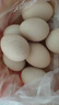 工廠-鮮雞蛋土雞蛋現(xiàn)撿現(xiàn)發(fā)40g正負(fù)5g/枚紙箱裝生鮮京東買菜生鮮 10枚 曬單實(shí)拍圖